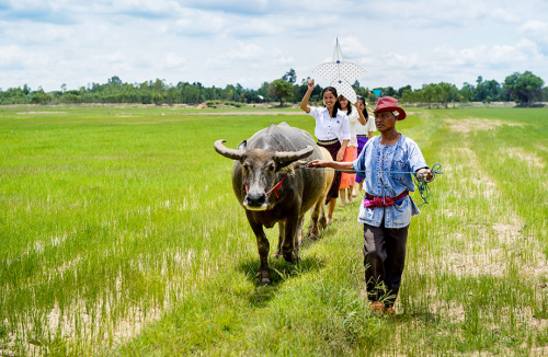 Baan Ku Ka Sing - Roi Et