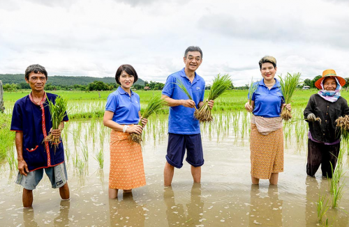 Baan Phu Thai Khok Kong