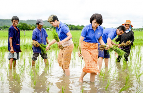 Baan Phu Thai Khok Kong